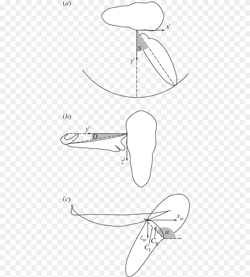 Definition Sketches Showing Calculation Of Kinematic Line Art, Text Free Transparent Png