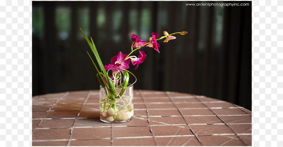 Defoire Photography Stunning Cocktail Table Flower Anthurium, Plant, Flower Arrangement, Flower Bouquet, Ikebana Png Image