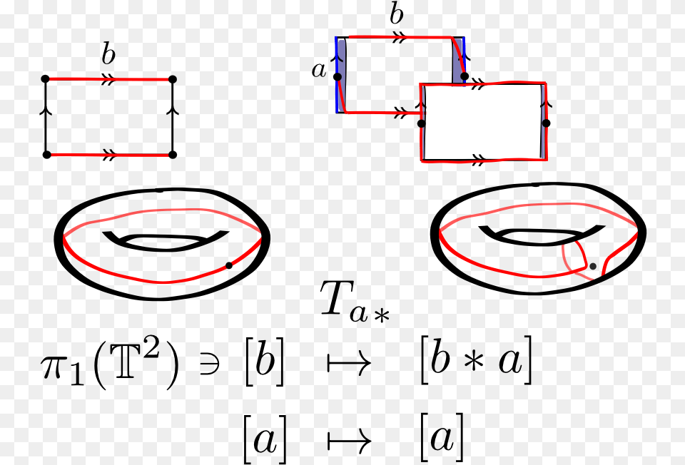 Dehn Twist Induced Isomorphism T 2 R 2 Torus Closed Curves, Chart, Plot Free Png