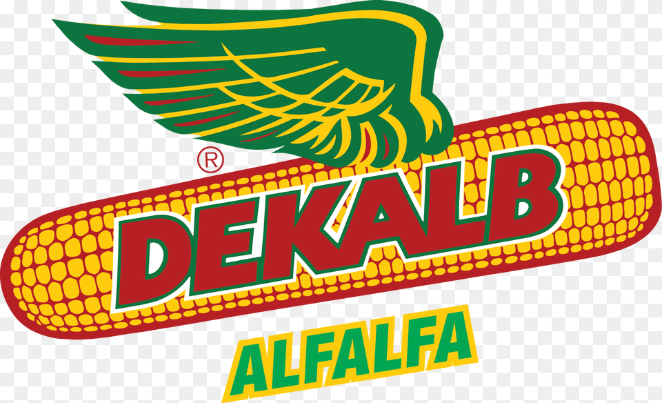 Dekalb Corn, Food, Grain, Plant, Produce Free Transparent Png