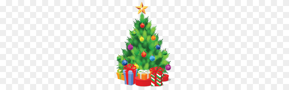 Del De Navidad, Plant, Tree, Christmas, Christmas Decorations Free Transparent Png