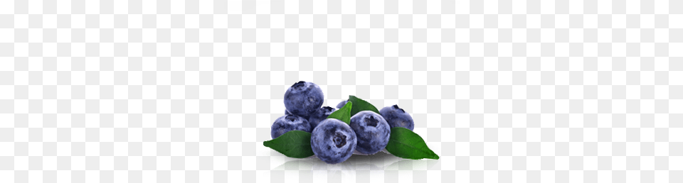 Del Monte Europe Fresh Produce Bluberries Del Monte Blueberries, Berry, Blueberry, Food, Fruit Png Image