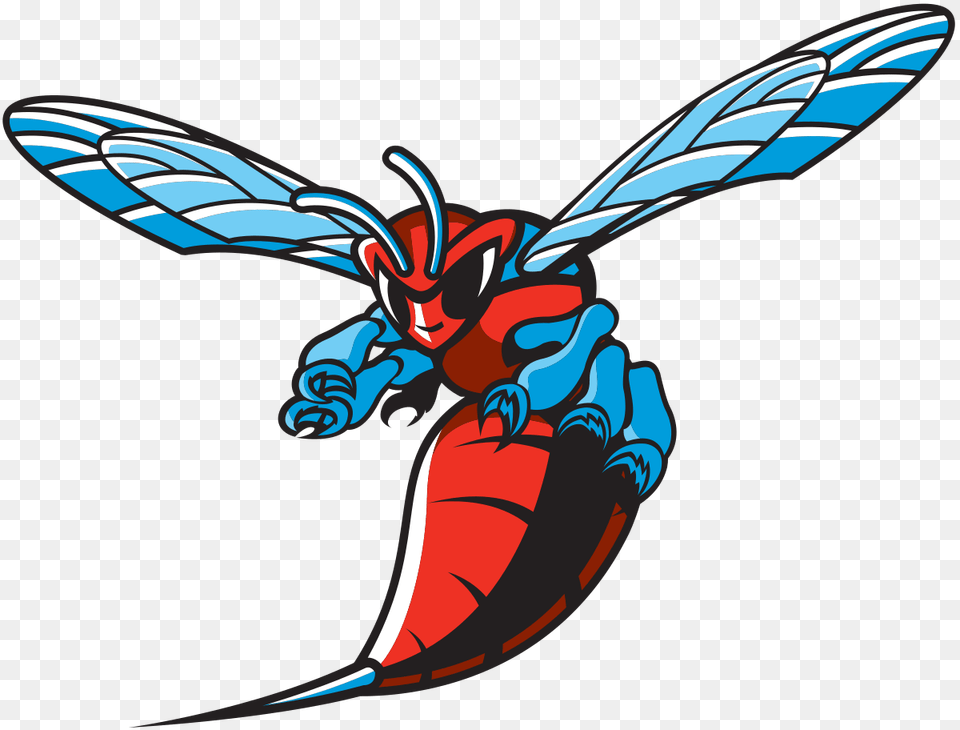 Delaware State Hornets, Animal, Bee, Insect, Invertebrate Png Image