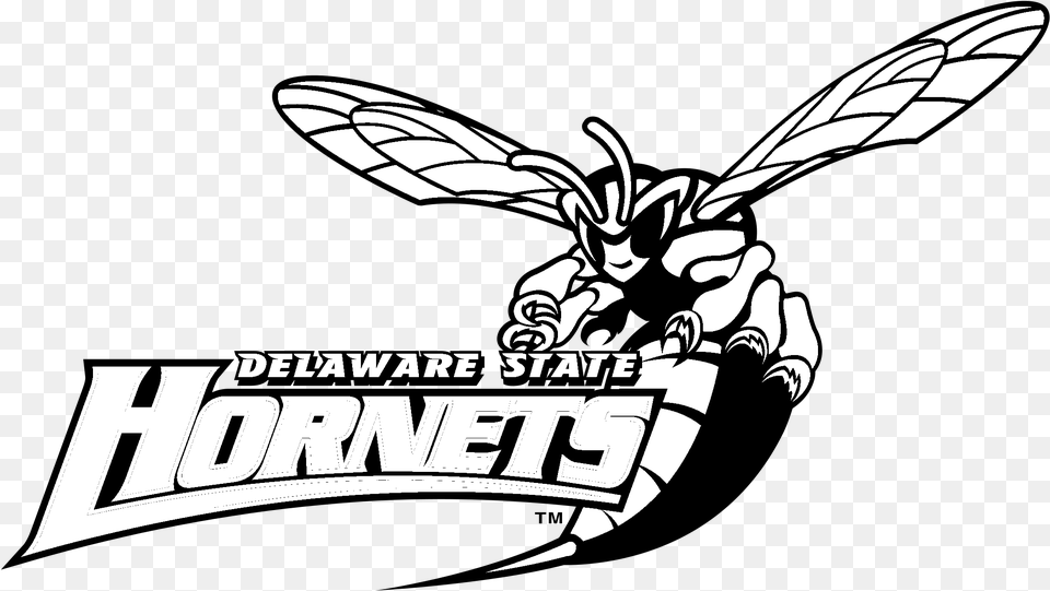 Delaware State Hornets Logo Black And White Delaware State University, Animal, Bee, Insect, Invertebrate Free Png