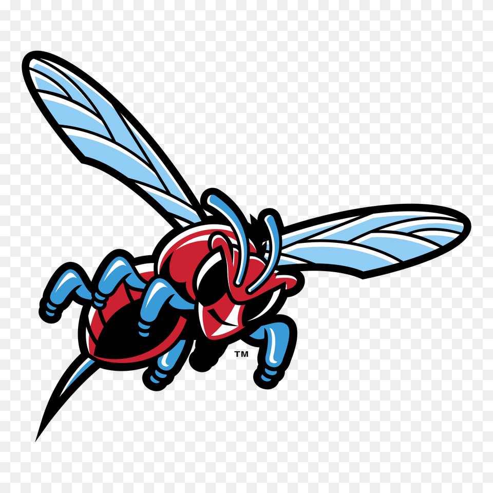 Delaware State Hornets Logo Transparent Vector, Animal, Bee, Insect, Invertebrate Free Png Download