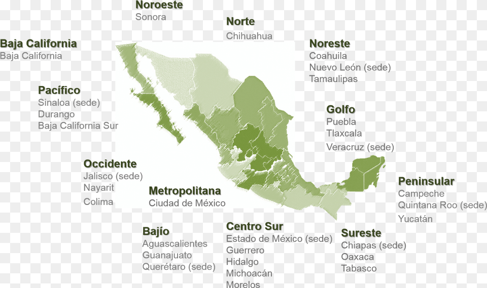 Delegaciones Matrimonio Igualitario En Mexico 2017, Chart, Vegetation, Tree, Rainforest Png Image