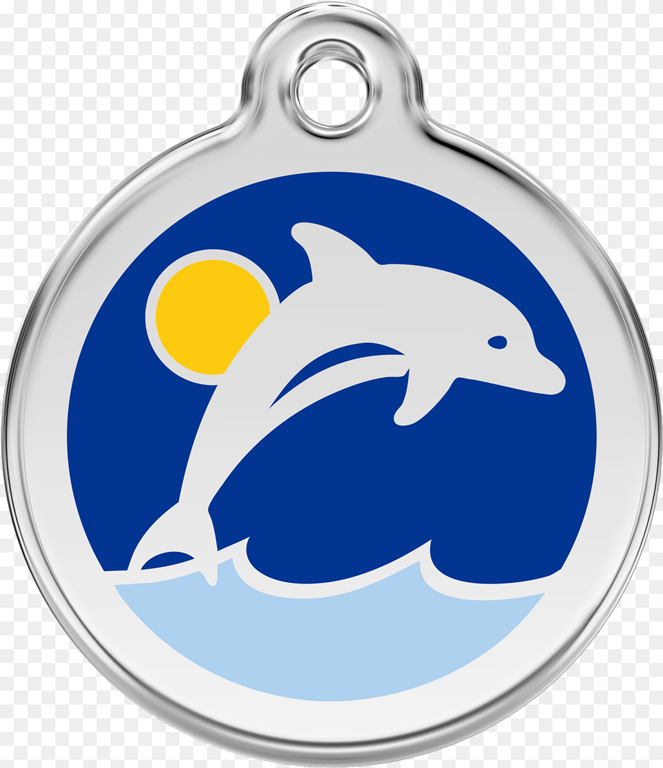 Delfin, Animal, Dolphin, Mammal, Sea Life Free Png