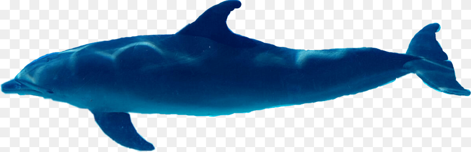 Delfin Dolphin Whale, Animal, Mammal, Sea Life, Fish Png Image