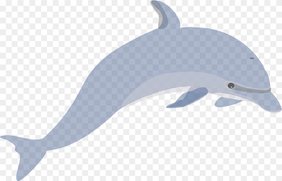 Delfn Mamferos Natacin Lindo Animales Mar Dolphin Clip Art Grey, Animal, Mammal, Sea Life, Fish Png Image