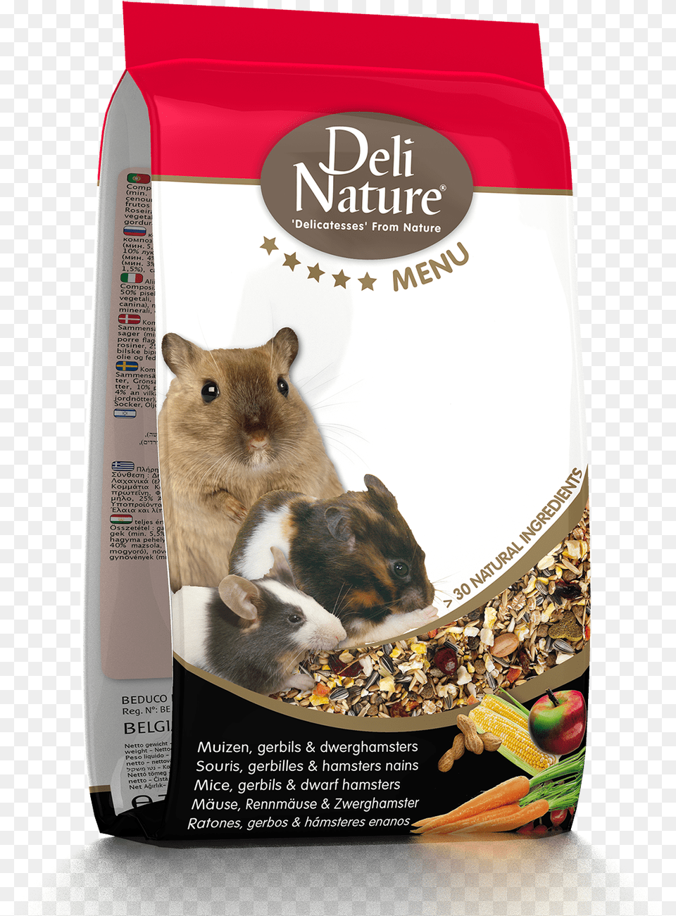 Deli Nature, Animal, Mammal, Rat, Rodent Png