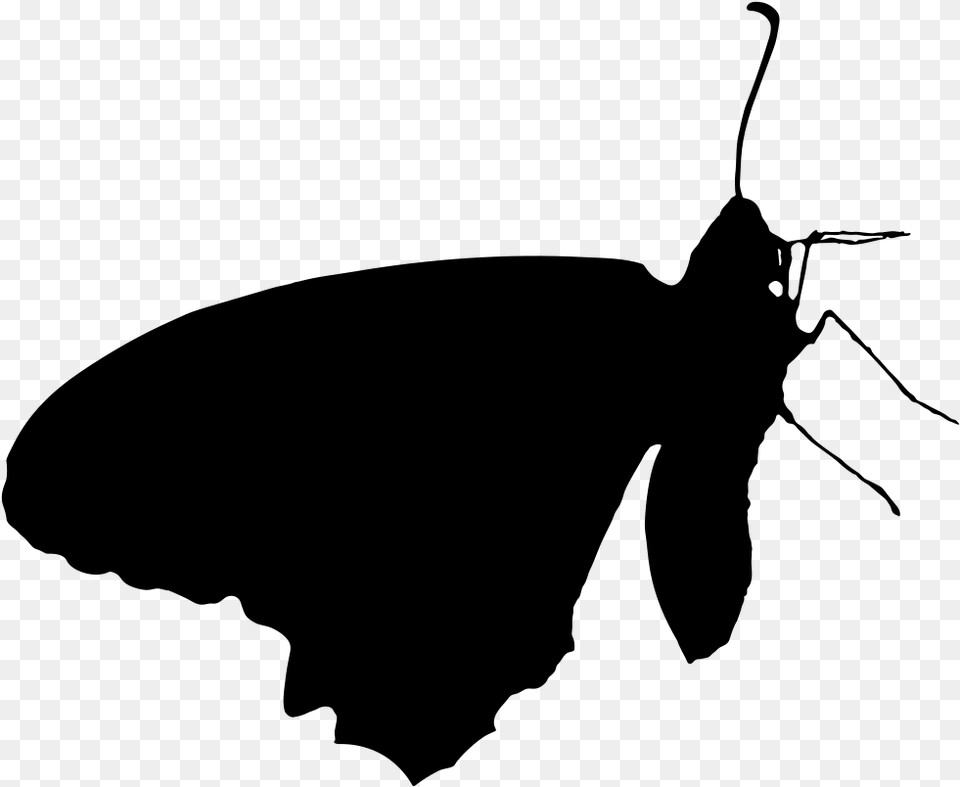 Delicate Butterfly Silhouette Butterfly, Gray Png Image