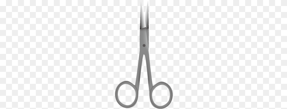 Delicate Dissecting Scissors Scissors, Weapon, Blade, Shears Free Png