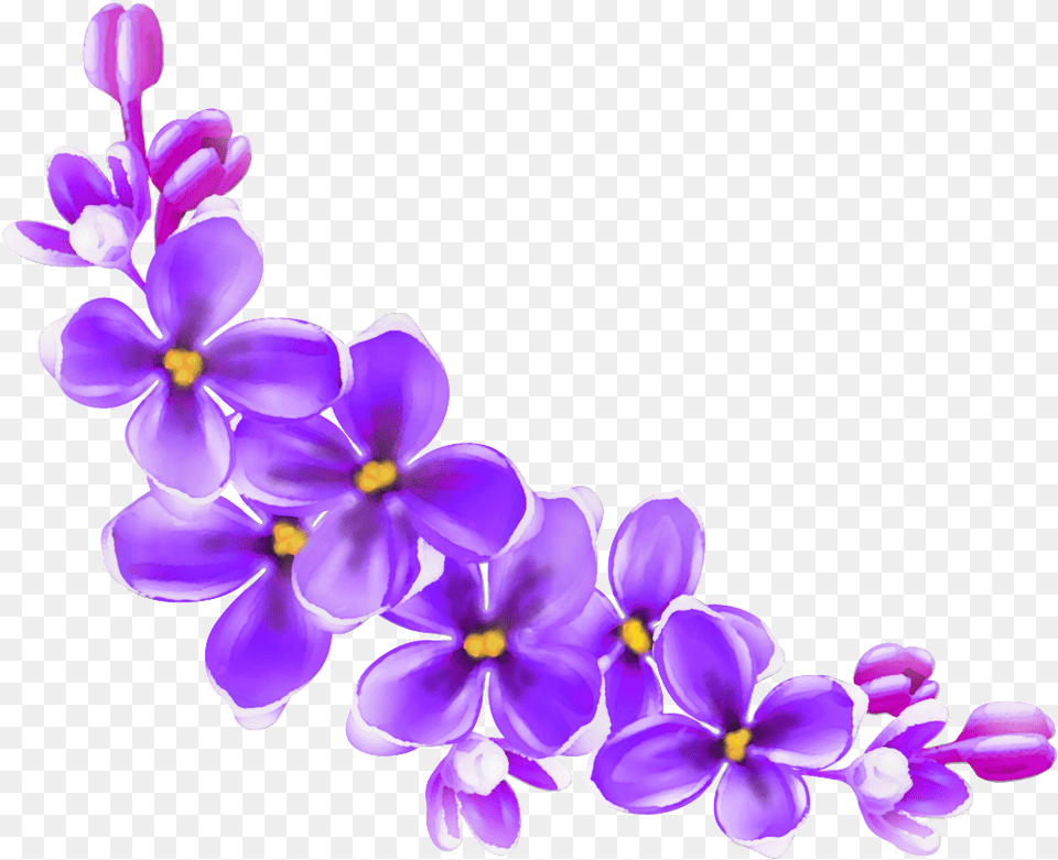 Delicate Purple Flower Flower Pic Hd, Plant, Orchid Png Image