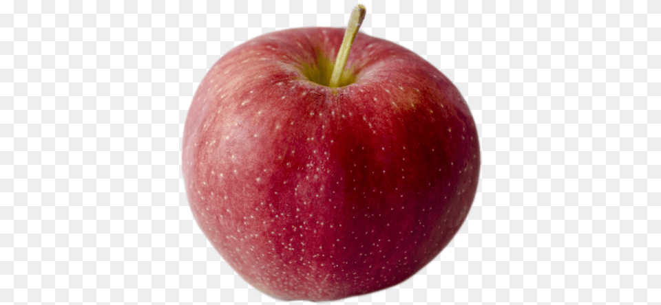 Delicious, Apple, Food, Fruit, Plant Png
