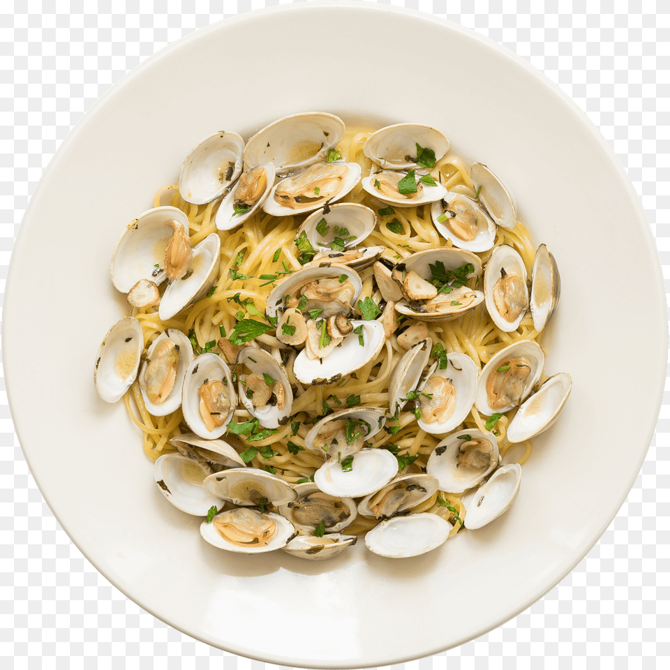 Delicious Italian Cuisine Food Top View, Animal, Seafood, Sea Life, Plate Free Png