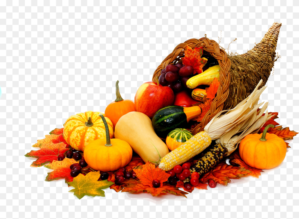 Delicious Way Cornucopia Thanksgiving Cornucopia, Food, Produce, Vegetable, Squash Free Png