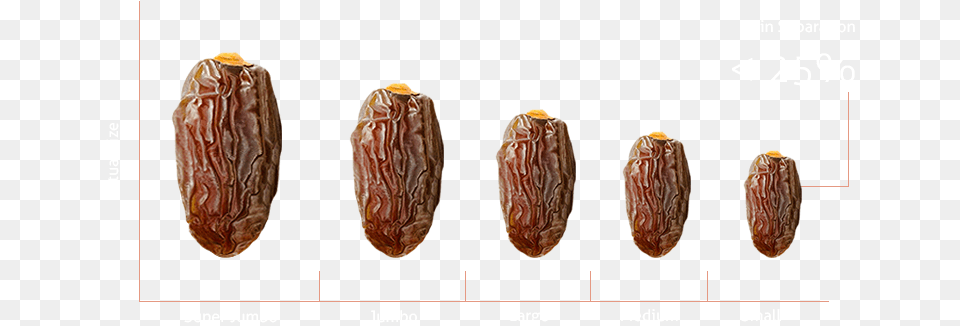 Delight Size Of Date, Fungus, Plant, Raisins Png Image