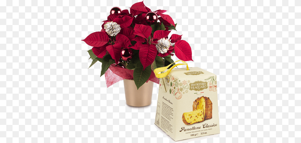 Deliver A Poinsettia And Panettone Surprise Floraqueen Christmas Day, Flower, Flower Arrangement, Flower Bouquet, Plant Free Png Download