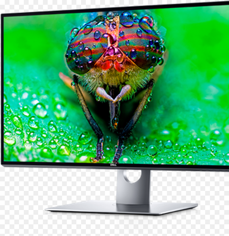 Dell 8k Monitor, Computer Hardware, Electronics, Hardware, Screen Free Png