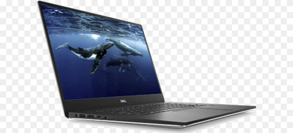 Dell Xps 15 7590, Laptop, Computer, Electronics, Pc Png Image