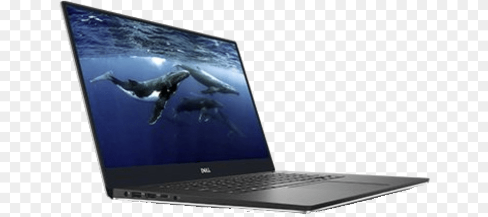 Dell Xps 15 7590, Computer, Electronics, Pc, Laptop Free Png