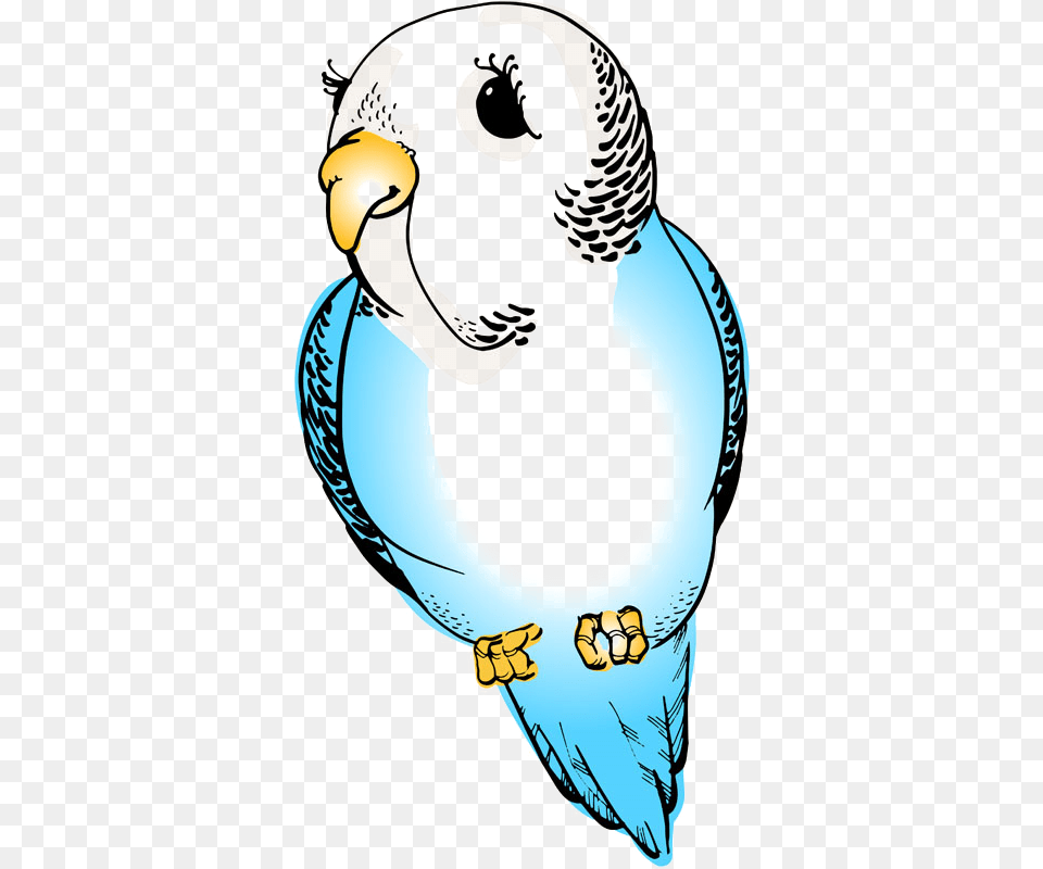 Delores, Animal, Bird, Parakeet, Parrot Free Transparent Png