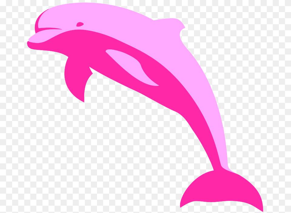 Delphin Delfin Dolphin, Animal, Mammal, Sea Life, Fish Free Png