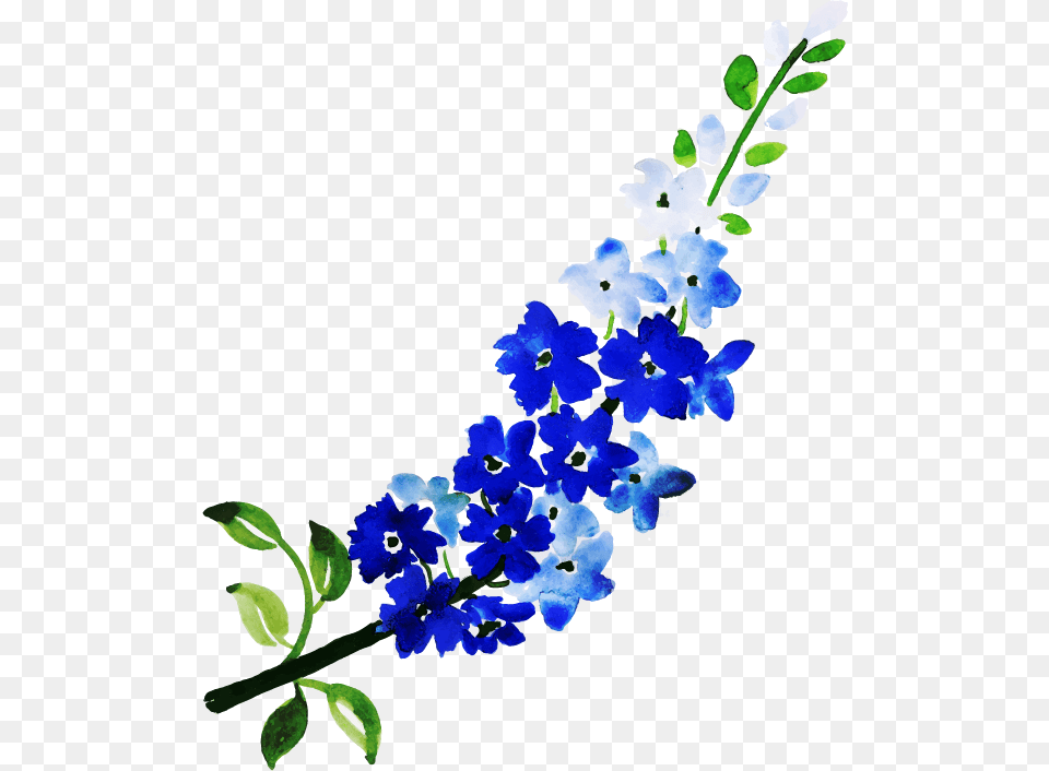 Delphinium, Flower, Plant, Flower Arrangement Free Png