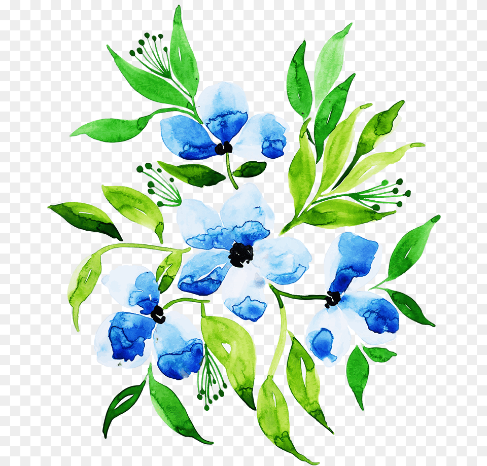 Delphinium, Berry, Blueberry, Food, Fruit Free Png Download