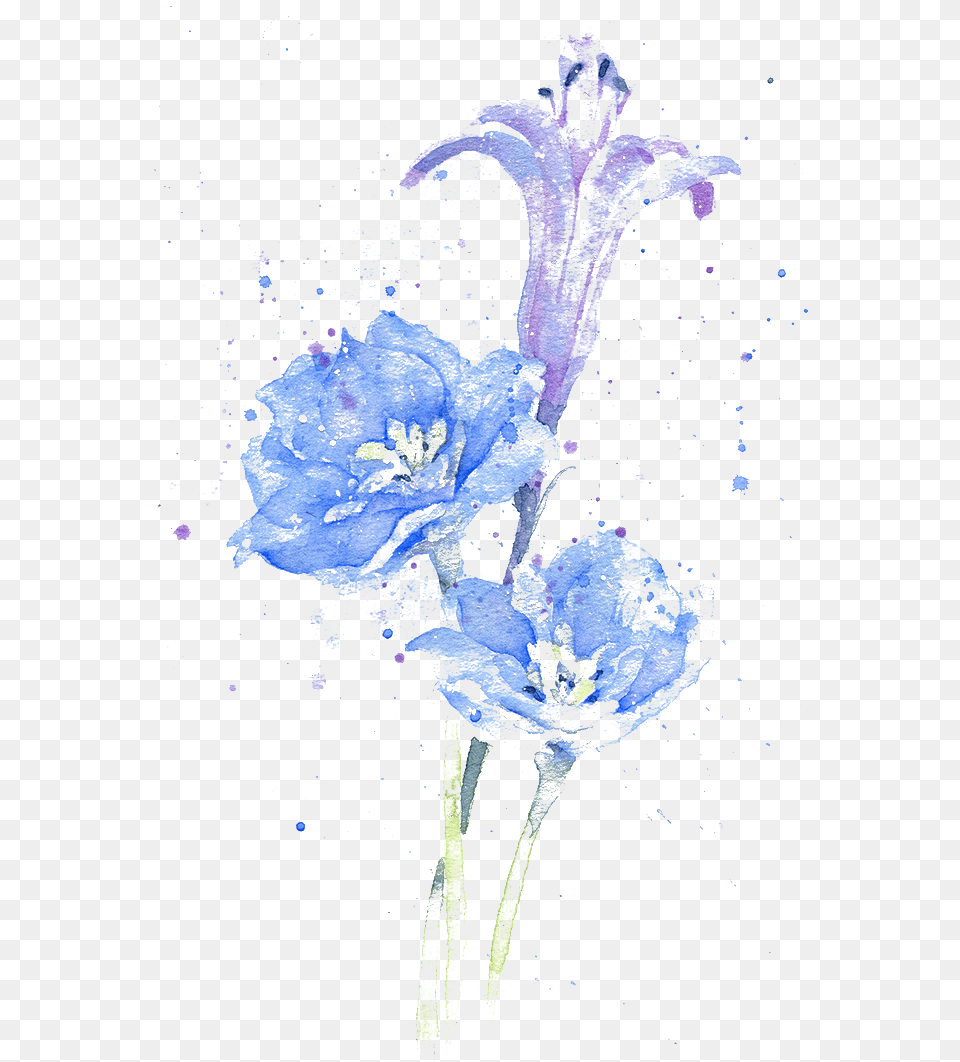Delphinium Drawing Watercolor Fondos De Agua En, Anther, Plant, Flower, Geranium Free Png Download