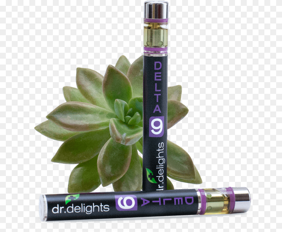 Delta 9 Thc Vape Pens By Dr Perfume, Plant, Potted Plant, Herbal, Herbs Free Transparent Png