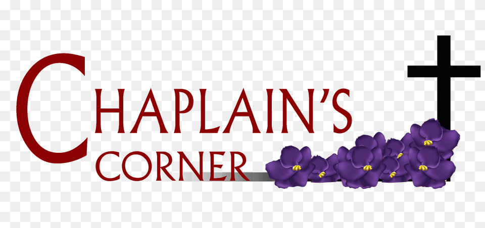 Delta Sigma Theta Sorority Inc Central Region May Devotion, Flower, Plant, Purple Free Transparent Png