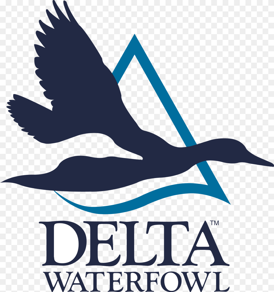 Delta Waterfowl Logo, Animal, Bird, Cormorant, Advertisement Free Png