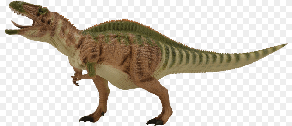 Deluxe Acrocanthosaurus, Animal, Dinosaur, Reptile, T-rex Free Png