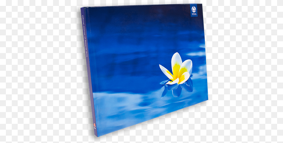 Deluxe Journal Plumeria Flower Crocus, File Binder, Electronics, Screen, Plant Free Png