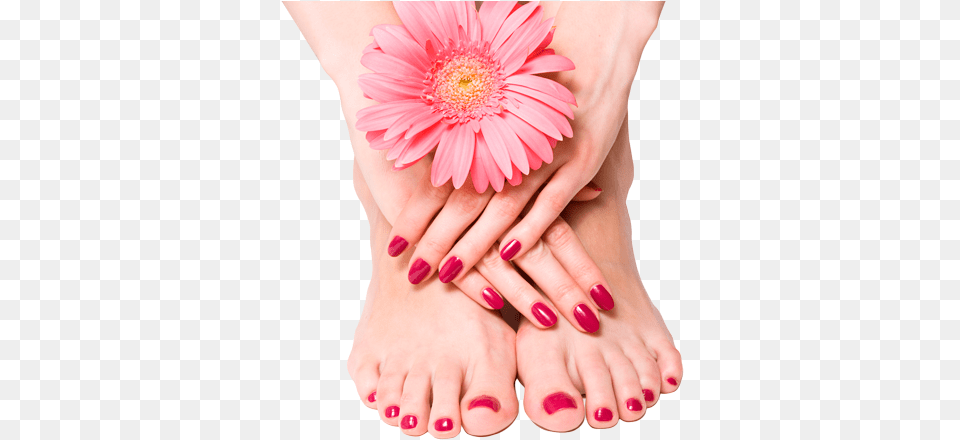 Deluxe Manicure Amp Pedicures, Hand, Body Part, Person, Nail Png Image