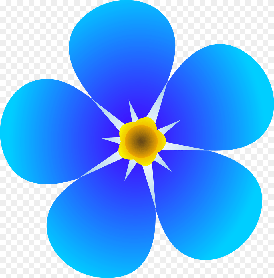 Dementia Forget Me Not Flower, Anemone, Petal, Plant, Daisy Free Png Download