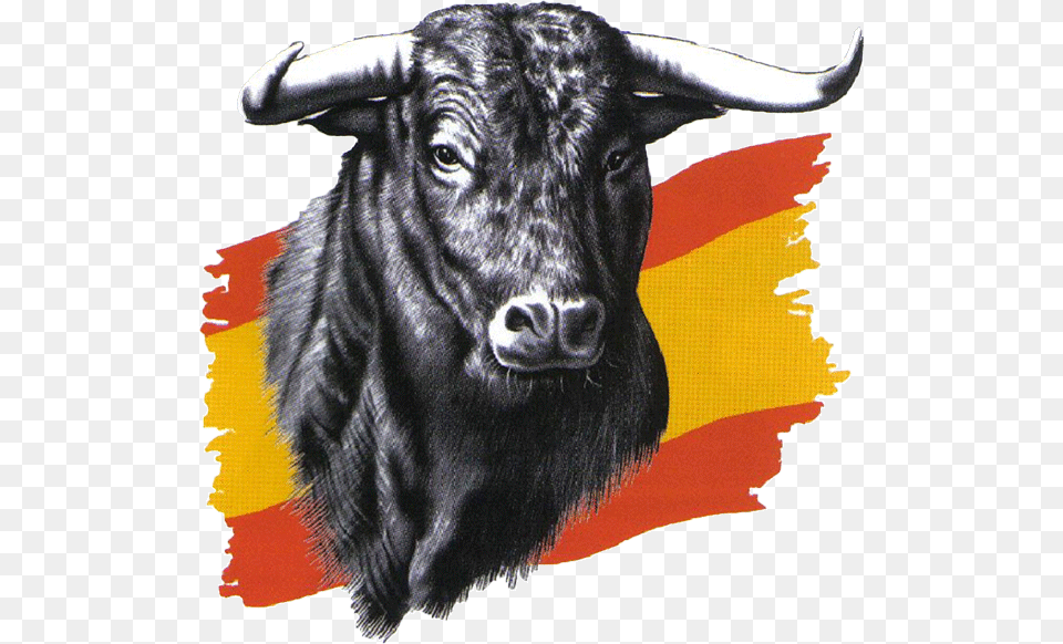 Demo Lista Del Toro Mejores Toros De, Animal, Bull, Mammal, Cattle Free Png