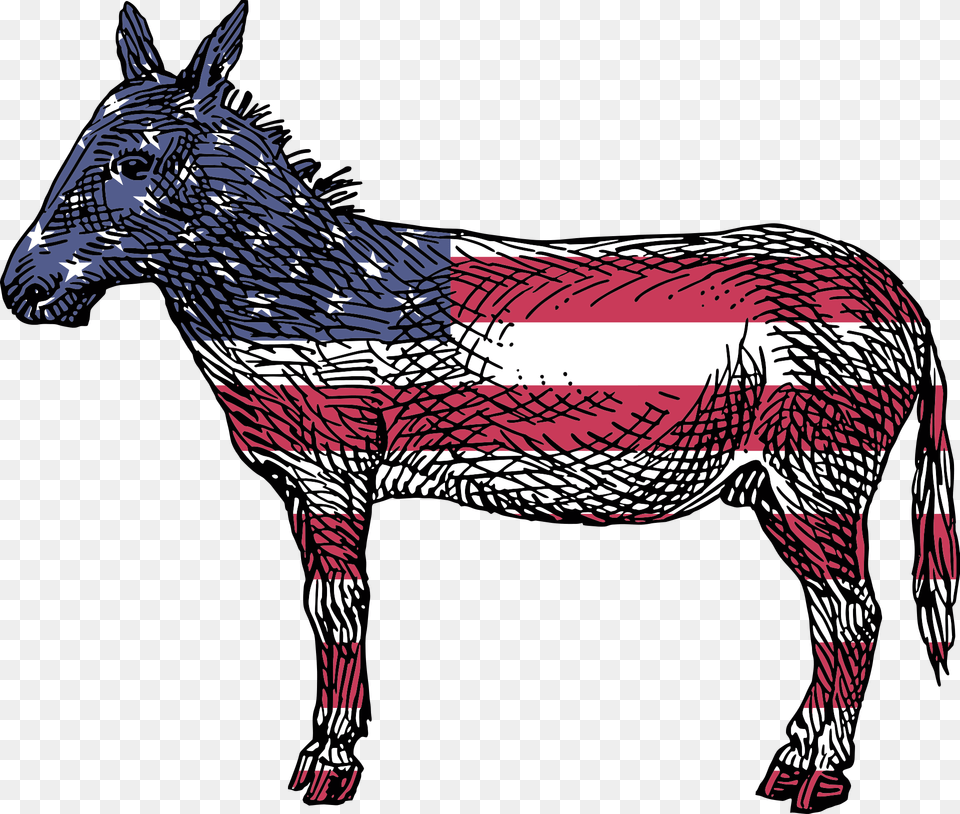 Democratic Party Response American Donkey, Animal, Mammal, Person Png