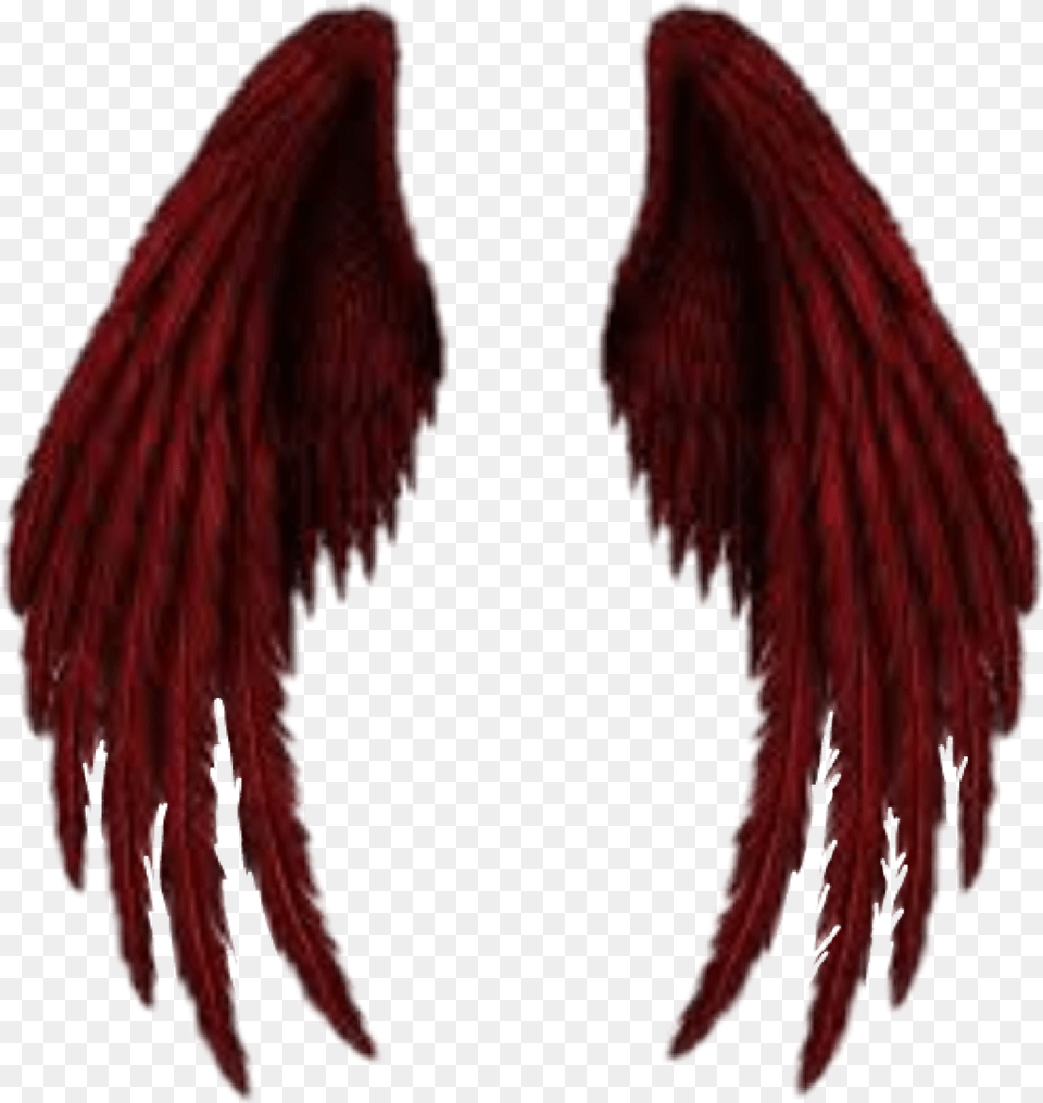 Demon Wings Angel Of Death Wings, Maroon, Electronics, Hardware, Accessories Free Png Download