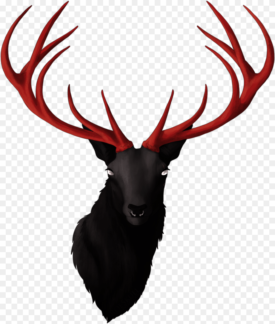Demonic X White Tail Antler, Animal, Deer, Elk, Mammal Free Transparent Png