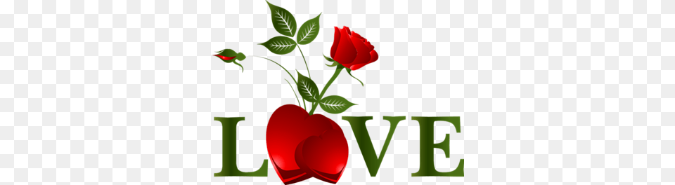 Den Sv Valentina Yandex Disk Love, Flower, Plant, Rose, Petal Free Transparent Png