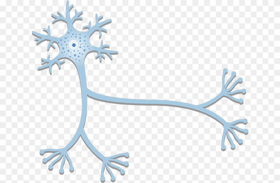 Dendrites Structure, Outdoors, Nature, Animal, Lizard Png Image