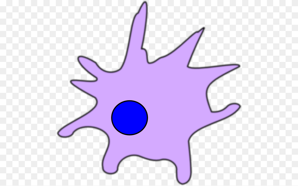Dendritic Cell Clip Art, Purple, Animal, Fish, Sea Life Png Image