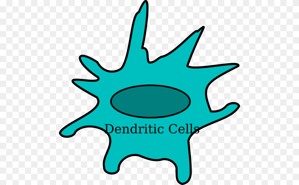 Dendritic Cell Red Clip Art, Leaf, Plant, Animal, Fish Free Png Download