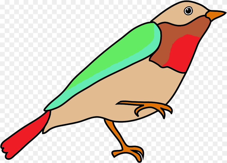 Dendroica Colored Fantasy Colors Bird Drawing With Color, Animal, Beak, Finch, Jay Png Image