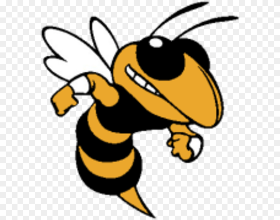 Denham Springs High School Logo, Animal, Bee, Honey Bee, Insect Free Png