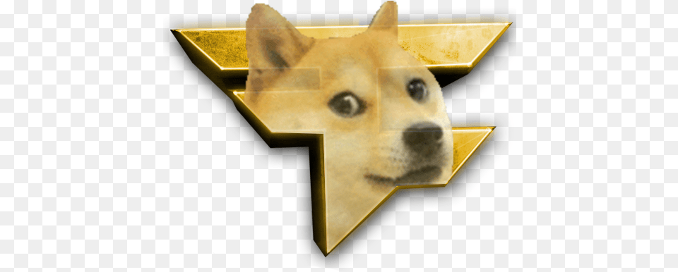 Denied Access Faze Doge, Animal, Canine, Dog, Husky Free Png