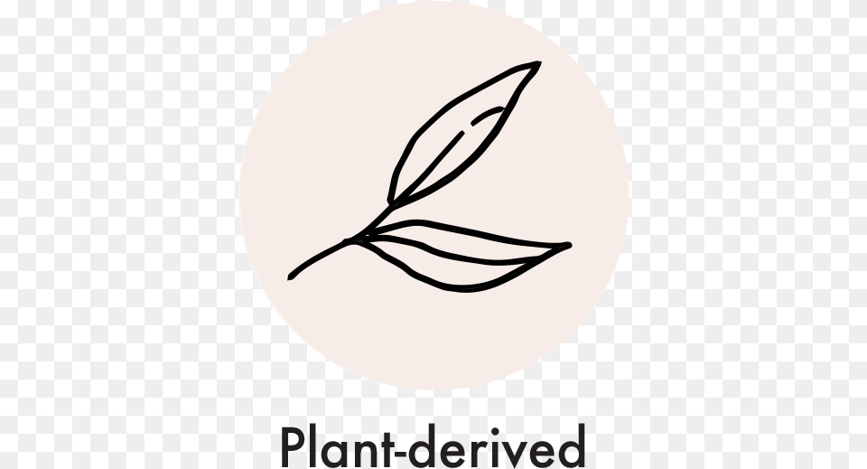 Denim Gift Bag Dot, Herbal, Herbs, Leaf, Plant Free Png