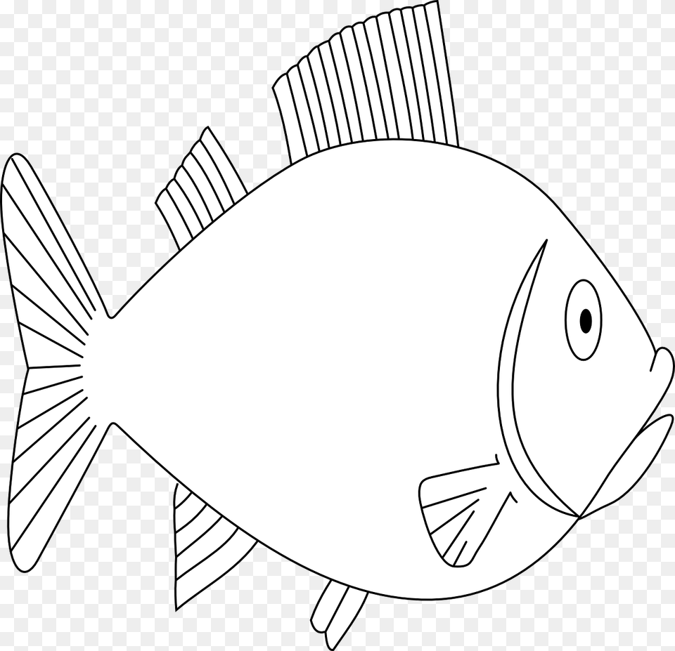 Deniz Alt Balk, Animal, Fish, Sea Life, Tuna Free Transparent Png